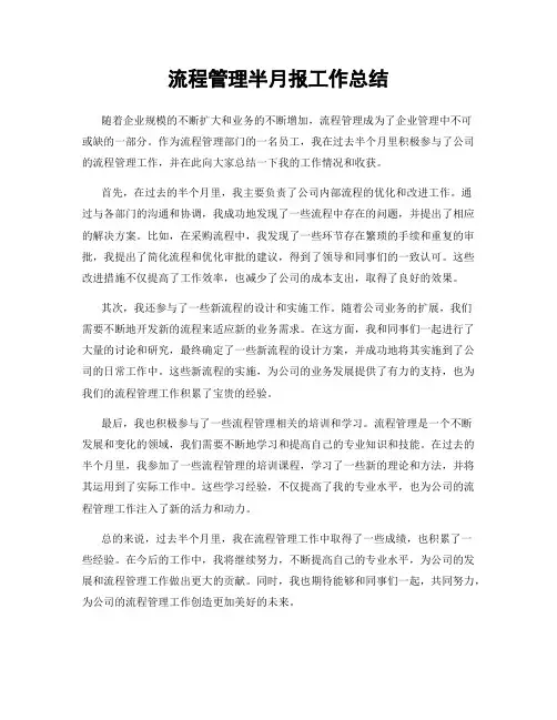 流程管理半月报工作总结