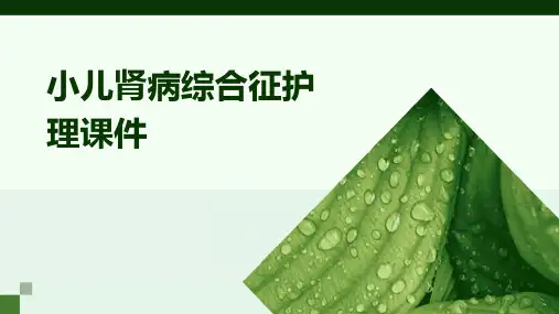 小儿肾病综合征护理课件