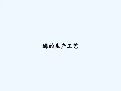 酶的生产工艺 PPT