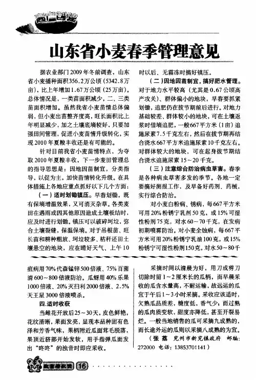 山东省小麦春季管理意见