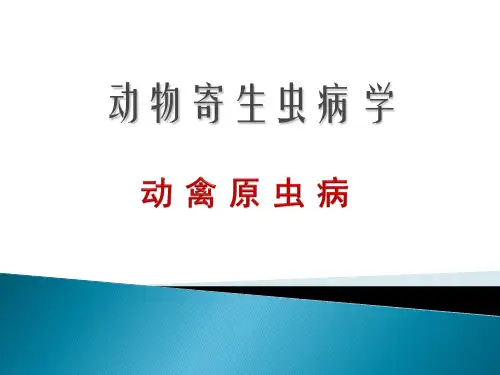 动物寄生虫病- 禽球虫病