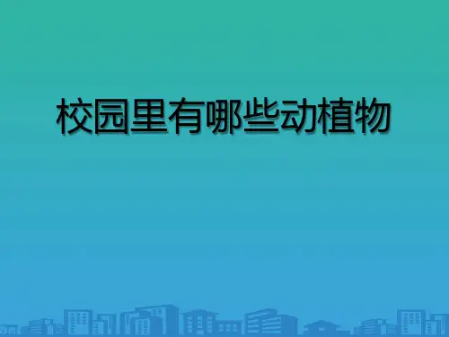 《校园里有哪些动植物》寻访校园里的动植物PPT课件2