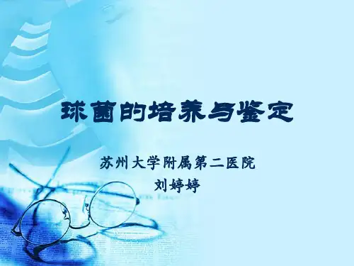 球菌的培养与鉴定(实验)