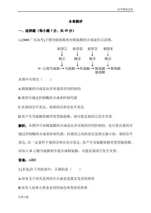 高一必修二生物人教版第5章本章测评（附答案）