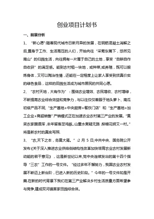 城市菜园项目创业计划书