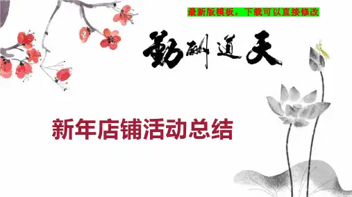 新年店铺活动总结PPT模板下载