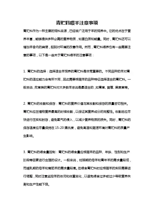 青贮料喂羊注意事项