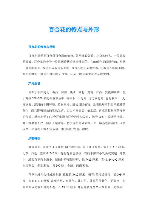 百合花的特点与外形