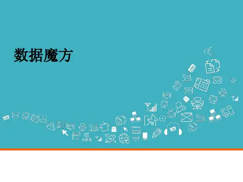 电商运营 网店运营 运营分析 数据魔方