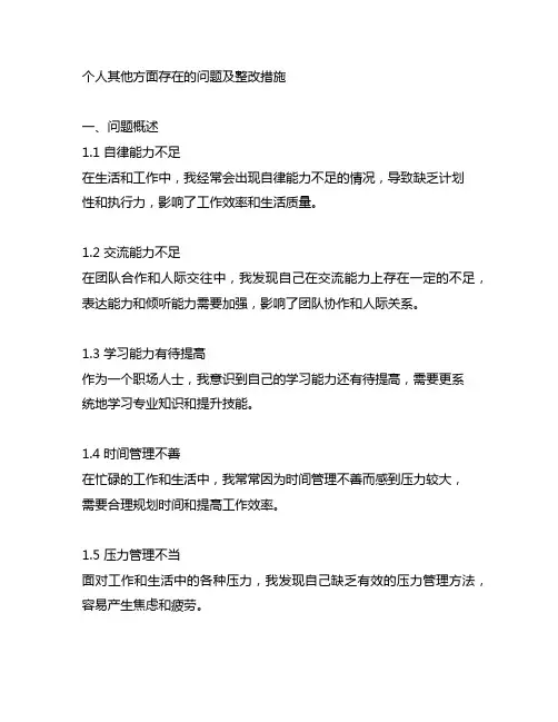 个人其他方面存在的问题及整改措施