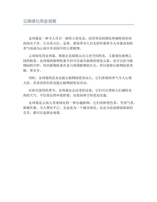 云南绿化用金鸡菊