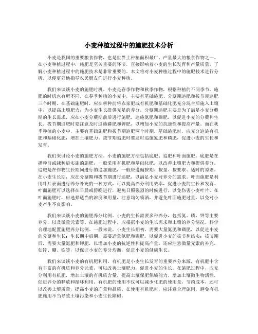 小麦种植过程中的施肥技术分析