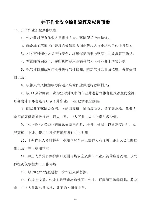 井下作业施工方案及应急预案