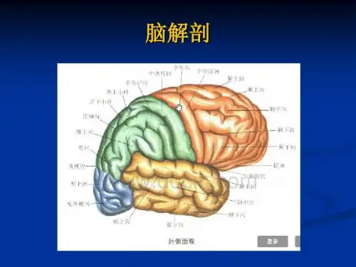 脑卒中偏瘫的康复评定