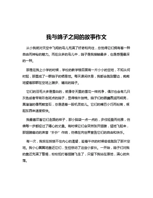 我与鸽子之间的故事作文