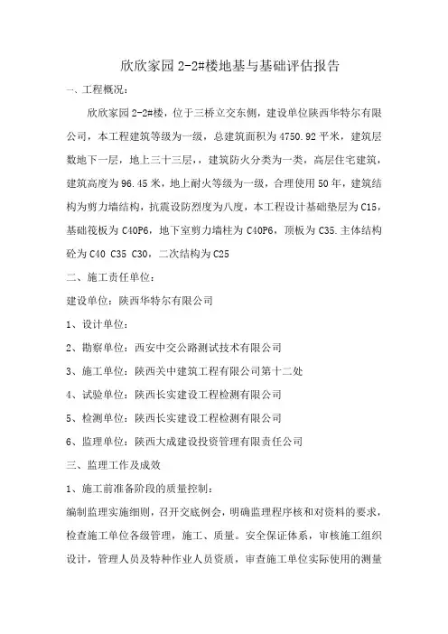 地基与基础评估报告