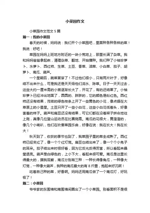 小菜园作文范文5篇