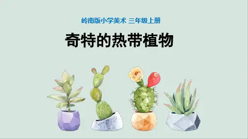 岭南版三年级上册美术《奇特的热带植物》课件