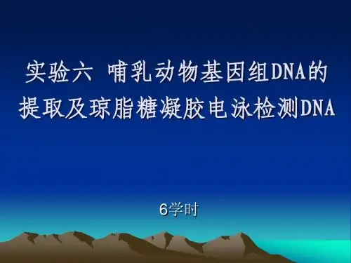 实验六哺乳动物基因组DNA的提取