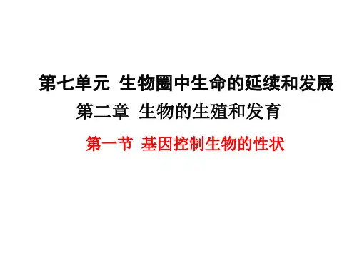 人教版八年级生物下册--第一节 基因控制生物的性状(课件)