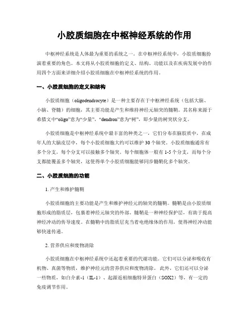 小胶质细胞在中枢神经系统的作用