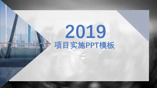 项目实施方案的陈述PPT图文