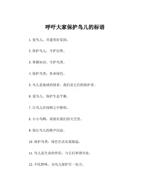 呼吁大家保护鸟儿的标语
