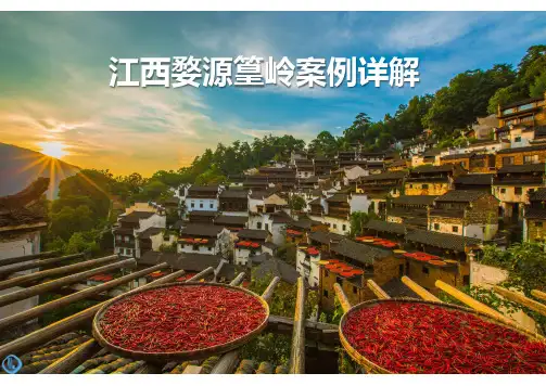 2020年江西婺源篁岭案例详解(最全)