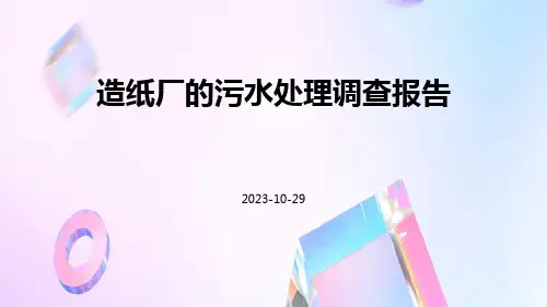 造纸厂的污水处理调查报告