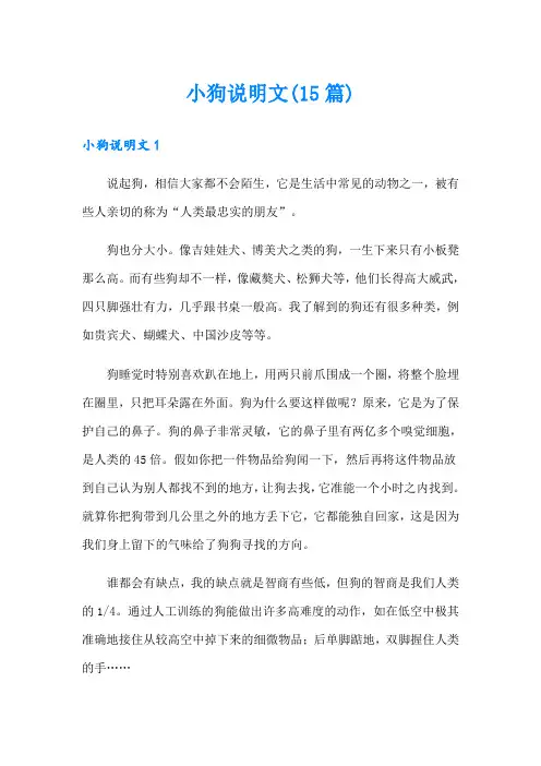 小狗说明文(15篇)