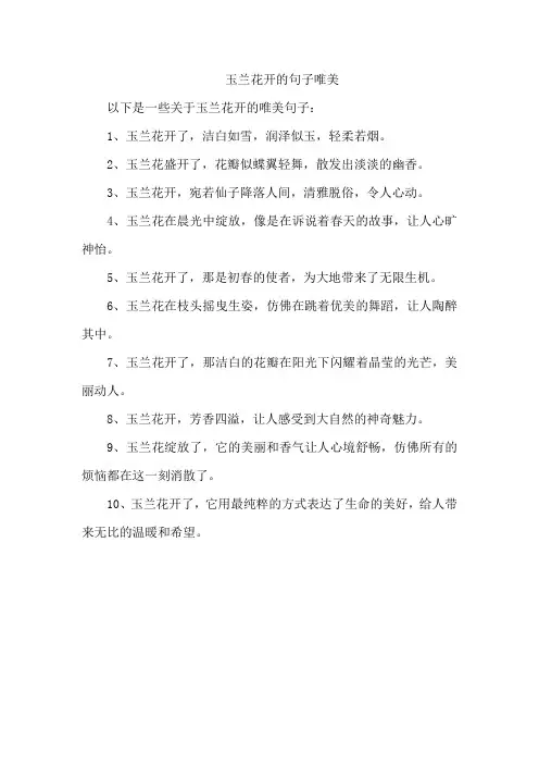 玉兰花开的句子唯美