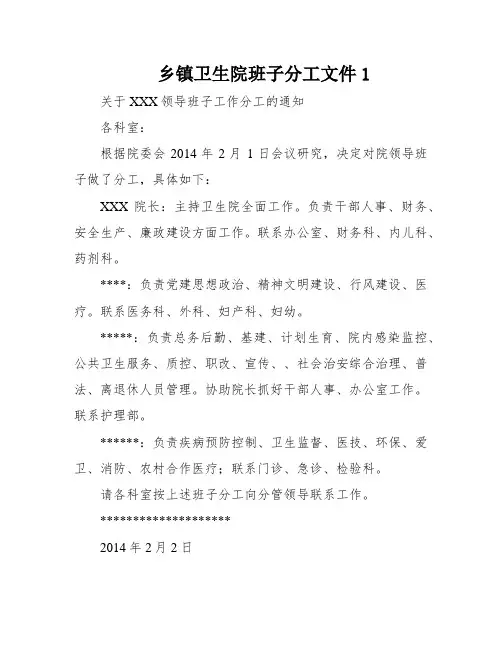 乡镇卫生院班子分工文件1