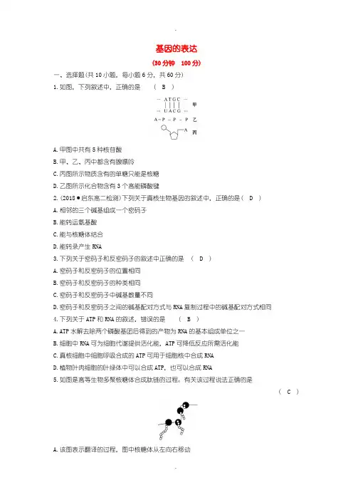 人教版高中生物必修2第四章基因的表达单元评估检测含答案