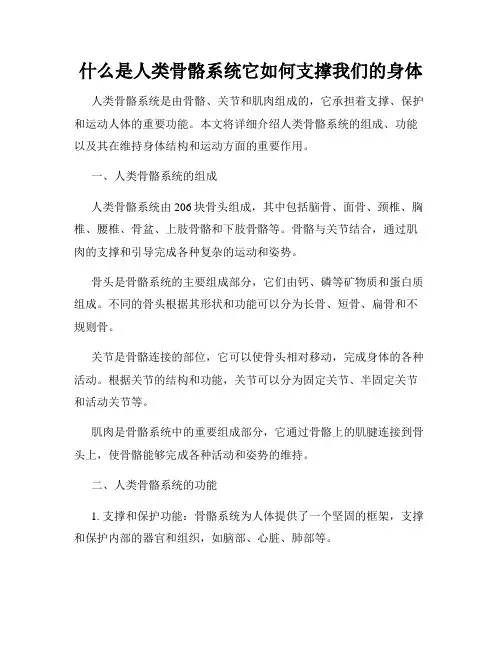 什么是人类骨骼系统它如何支撑我们的身体