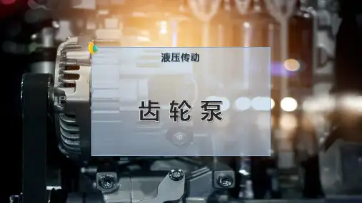 齿 轮 泵