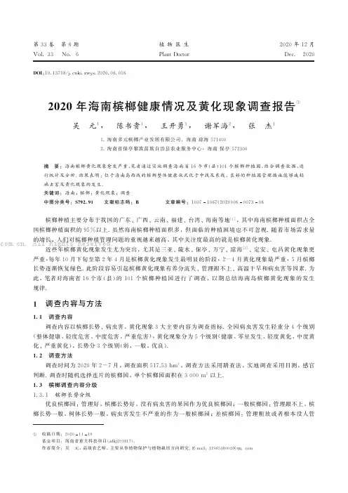 2020年海南槟榔健康情况及黄化现象调查报告