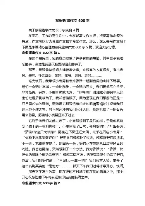 寒假趣事作文600字