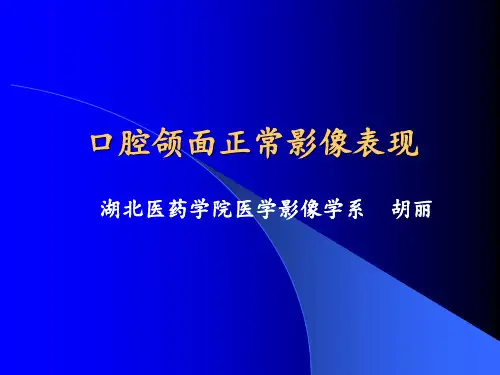 口腔颌面正常影像