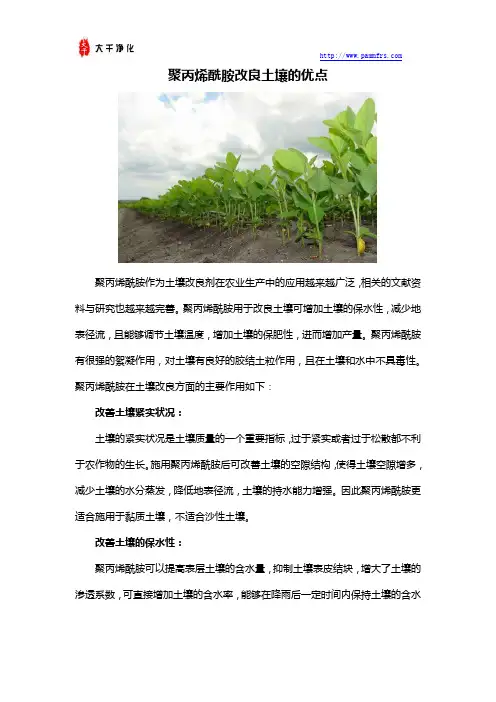 聚丙烯酰胺改良土壤的优点