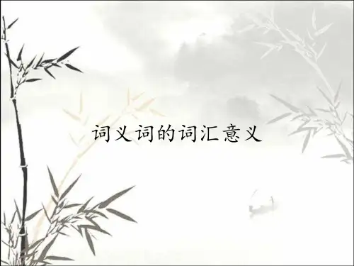 词义词的词汇意义