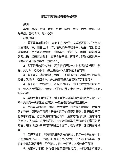 描写丁香花的好词好句好段