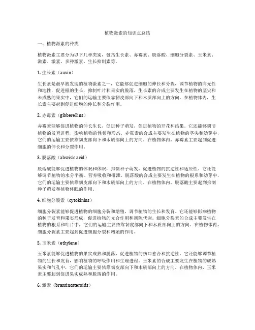 植物激素的知识点总结