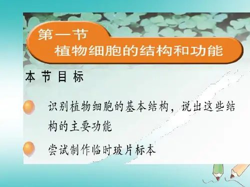 植物细胞的结构和功能课件(苏教版)