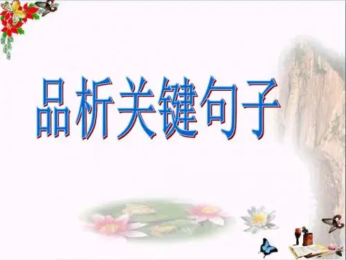 中考复习品析关键句子 PPT课件