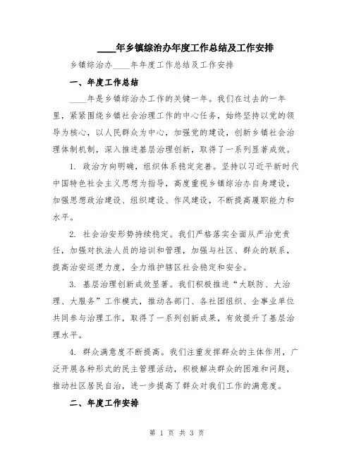 2024年乡镇综治办年度工作总结及工作安排
