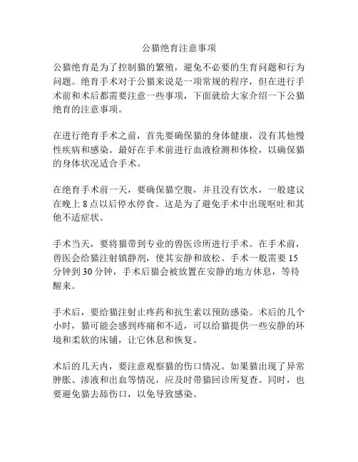 公猫绝育注意事项