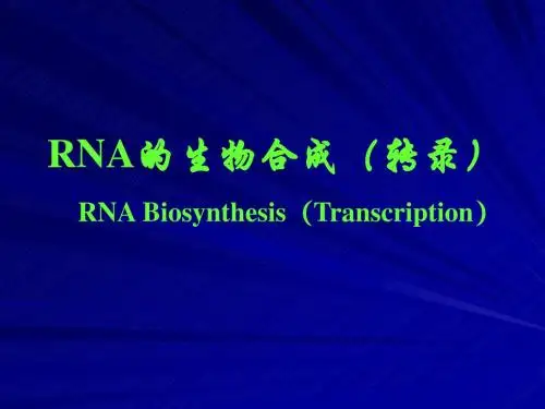 RNA的合成与加工