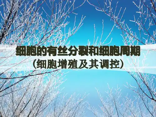 细胞的有丝分裂和细胞周期