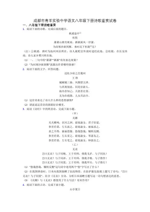 成都市青羊实验中学语文八年级下册诗歌鉴赏试卷