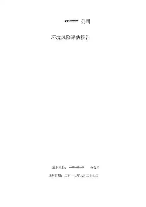 某某某公司环境风险评估报告